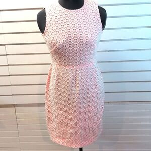 Vilagallo Pink & white  lace Sheath dress Size EU 40  EUC
